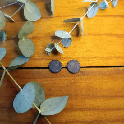 Obsidian Crest Studs